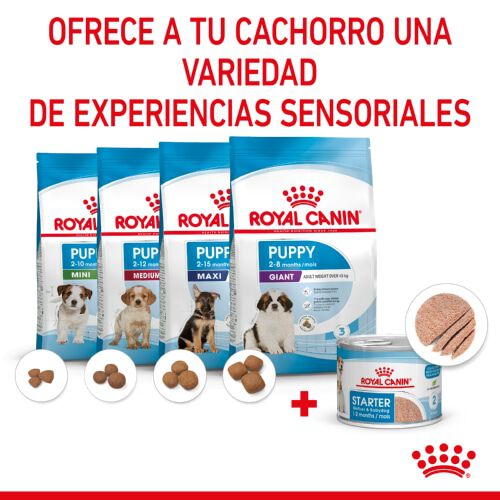 195 g Royal Canin Starter Mommy & Baby mousse latas para perros, , large indicador imagen numero 5